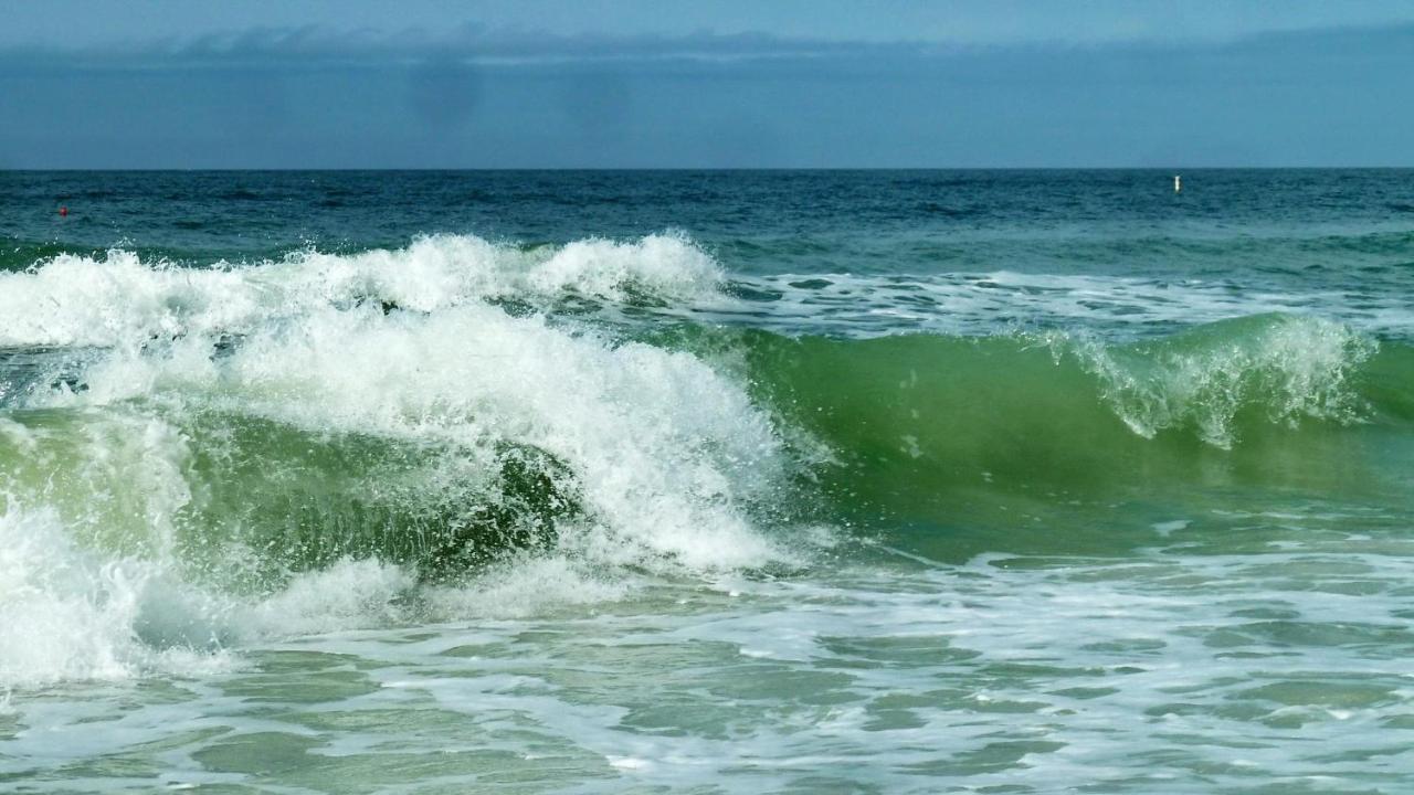 Crystal Palms 201 Βίλα St. Pete Beach Εξωτερικό φωτογραφία